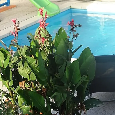 Gasthof Relax Martina Budweis